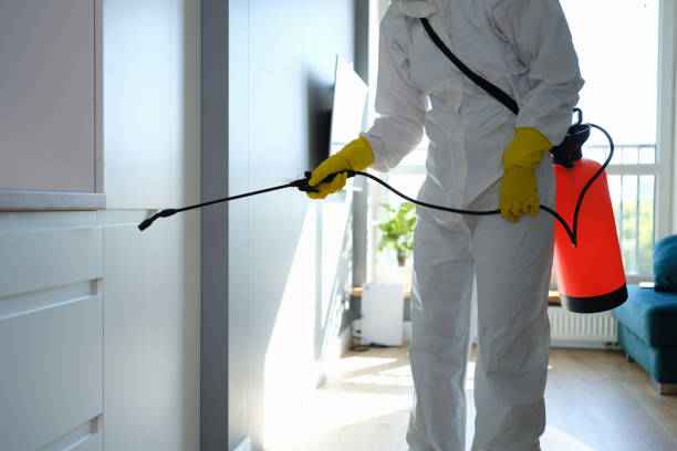 Best Commercial Mold Removal  in Greenville, DE