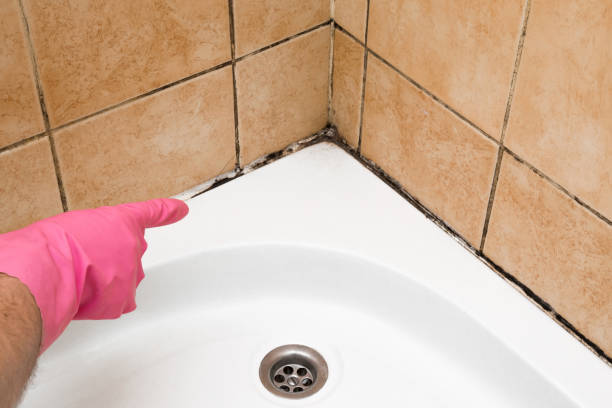 Best Certified Mold Removal  in Greenville, DE